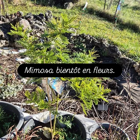 Au Petit Bonheur